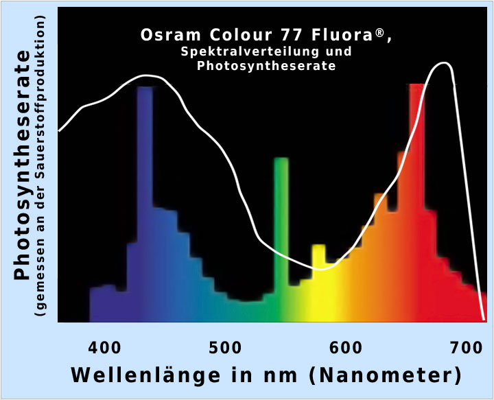 [Bild: spektrum-osram-fluora.jpg]