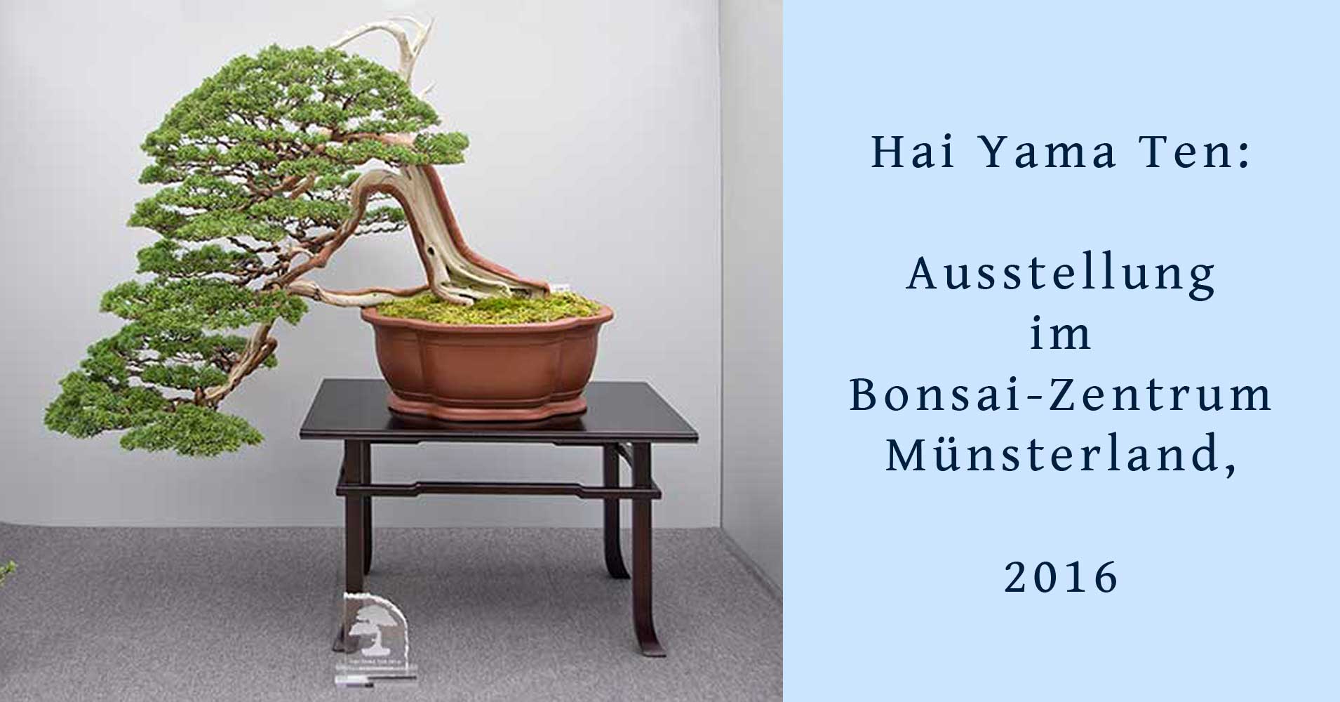 Hai Yama Ten, März 2016