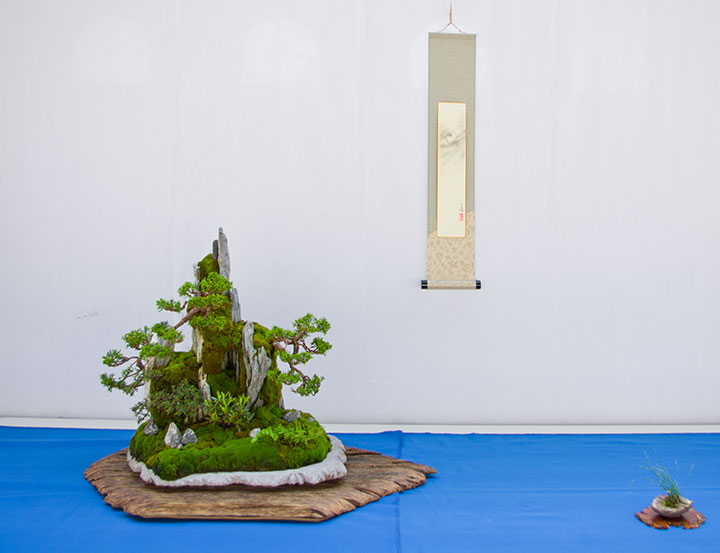 Crataegus monogyna auf der Ausstellung der Bonsai-AKs NRW 2013