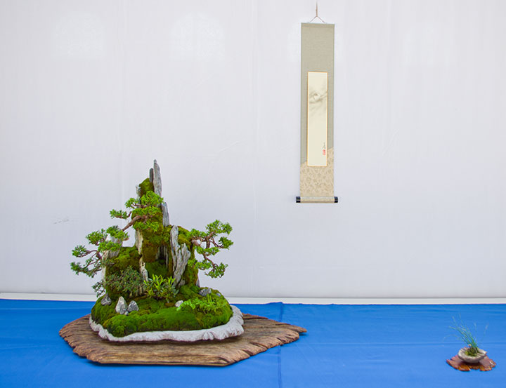 Crataegus monogyna auf der Ausstellung der Bonsai-AKs NRW 2013