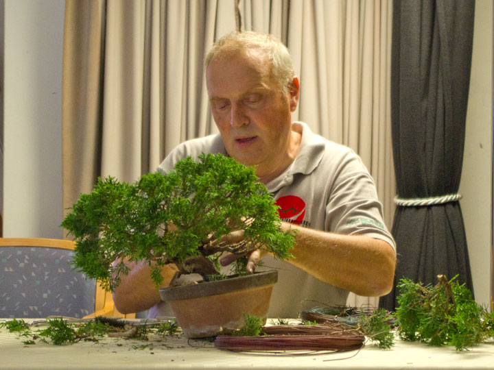 Udo Wollenhaupt demonstriert Gestaltungsarbeiten an einem Bonsai