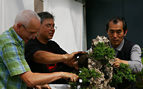Hideo Suzuki gestaltet einen Ishitsuki, Bonsai auf dem Stein
