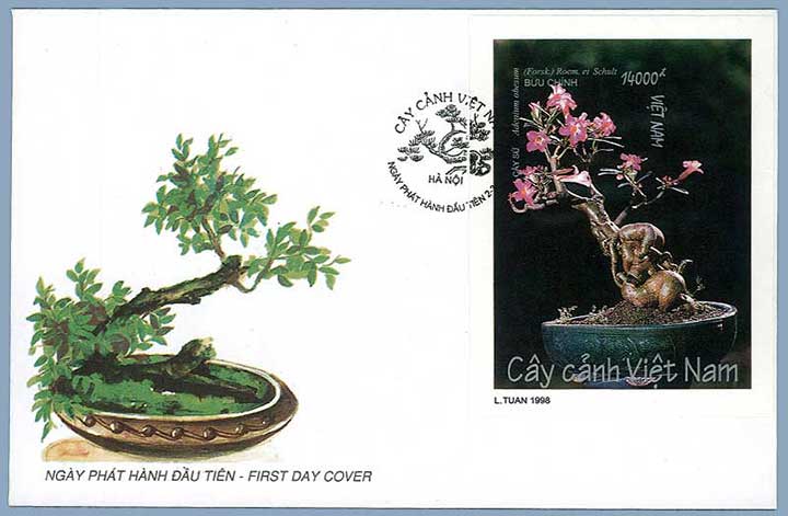 Bonsai Ersttagsbrief Vietnam 1998